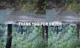 record real rainforest rain sounds videos for youtube channel