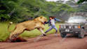 design youtube thumbnail for animal channel