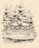 turn your photo into vintage line art illustration