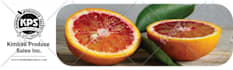 do flyer, trifold, bifold, catalog, pdf and multipage brochure design