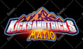 design customized shoes logo, sneaker , for your store or business