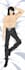 draw custom dakimakura body pillow for your oc, anime character, vtuber