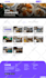 convert xd to webflow, figma to webflow website