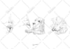 draw beautiful facade and storefront portrait for you