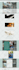 convert clone or transfer wix, weebly, webflow, squarespace to wordpress website