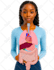 draw digital coloured anatomy and medical illustrations
