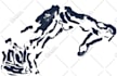 cut out images cut out background removal silo image editing