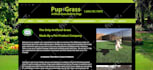 fix, customize, edit your wordpress website, plugin or theme