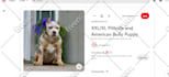 promote your product or website on high traffic pinterest