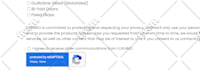 build wordpress website development, wordpress blog website, business website