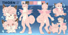 create a furry fursona reference sheet