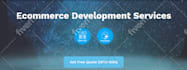 setup, customize wordpress website design and fix error