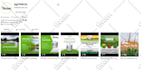 be your facebook ads campaign manager and fb ads campaign