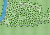 professionally draw map illustration, property map, backyard, landscape design
