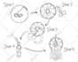 draw doodle hand drawn diagrams, icons, charts, infographic
