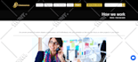 design or redesign responsive wordpress website
