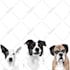 draw minimalist realistic pet vector art