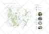 do architectural site analysis, mapping and collages