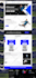 create a responsive and professional sports website