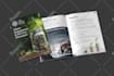 design unique PDF lead magnet, brochure, ebook report