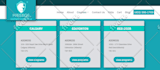 create website, wordpress website development, customize