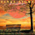 design your vintage album cover art and single cover art no ai