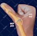 do medical, dental and scientific illustrations for you