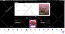 build, redesign, or create a professional wordpress website