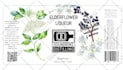 paint a watercolor botanical illustration of plants