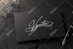design aesthetics jewelry clothing photography fashion feminine minimalist logo