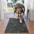 shoot dog accessory photography with dog model