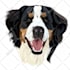 draw your pet into a cartoon vector art