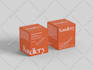 do premium minimalist product packaging design