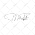 design cursive scripted hand drawn calligraphy signatures or autograph