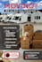 design professional social media posts, banners and ads