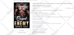 optimize amazon PPC campaigns, setup sponsored ads, and manage fba ppc sales
