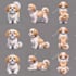 design custom ai characters, avatars and digital ai art