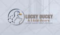 create minimalist business logo design with brand identity kit and guidelines
