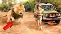 design youtube thumbnail for animal channel