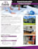 design professional business flyer and poster