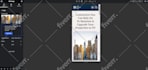 be your elementor expert to fix elementor issues and design elementor website