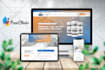 design clean and responsive wordpress website
