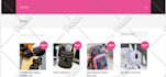 professional wordpress theme customization services