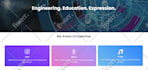 build a modern ecommerce website or personal brand site with wordpress