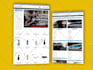 develop drupal website or fix and update, modules and themes