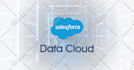 do standard or custom development in salesforce