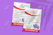 design professional flyer in 12 hours
