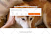 design ecommerce store by woocommerce