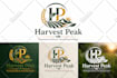 do modern minimalist professional business logo design