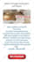 create professional capture page or landing page that converts